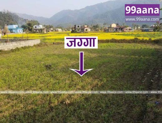 Land for sale at Malepatan, Pokhara-32, Kaski