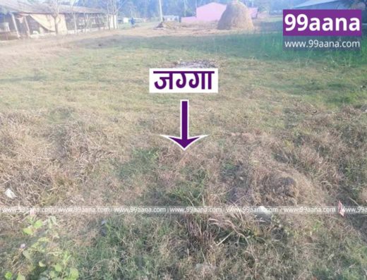 Land for sale at Ujjwal Tole, Devnagar, Bharatpur-06, Chitwan