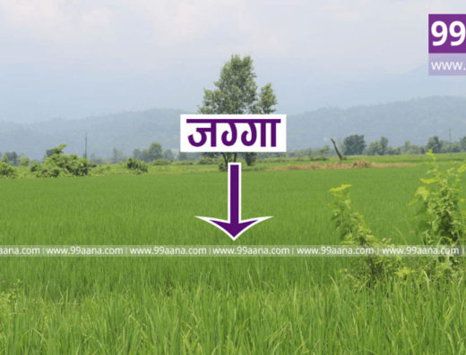 Land for sale at Mudavaar Rapti-06, Chitwan