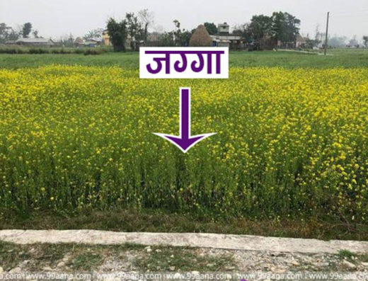 Land for sale at Bharatpur, Chitwan