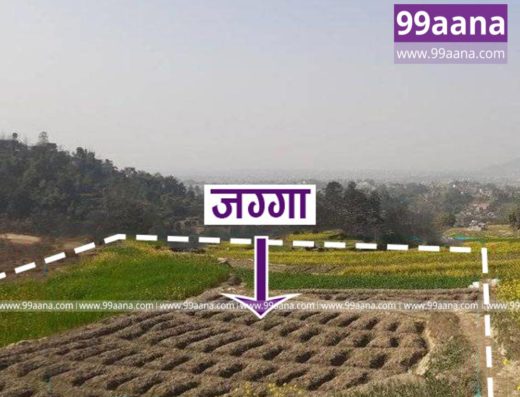 Land for sale at Chitapol, Chyamasing, Bhaktapur