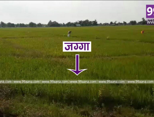 Land for sale at Suknadigi, Kanchankawal, Jhapa