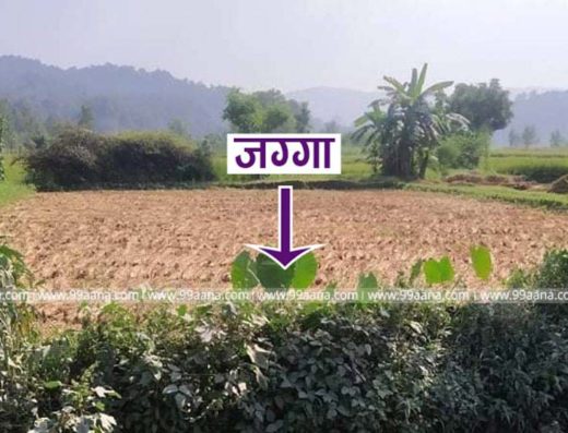 Land for sale at Narayanghat, Chitwan