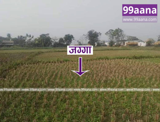 Land for sale at Bharatpur-13, Chitwan