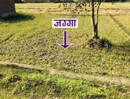 Land for sale at Madi, Chitwan