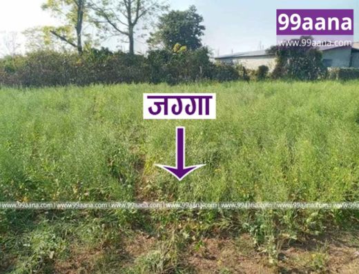 Land for sale at Bharatpur-05, Chitwan
