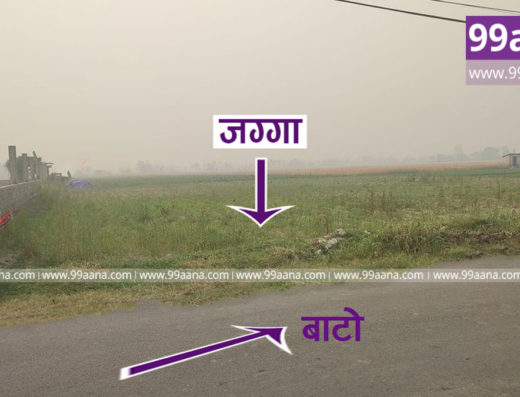 Land for sale at Chitwan