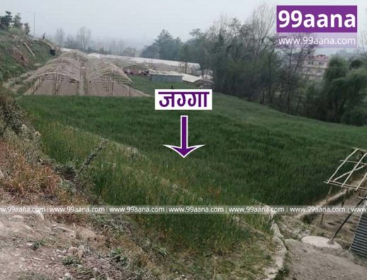 Land For Sale at Chhaling, Bhaktapur