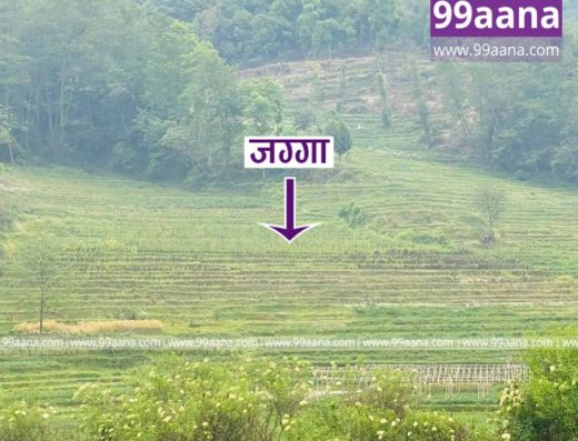 Land for sale at Banepa, Kavrepalanchok