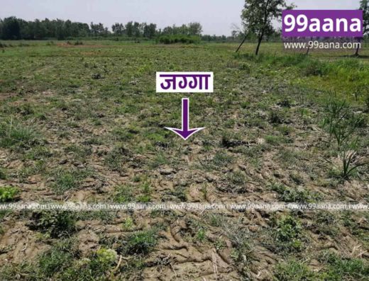 Land for Sale at Itahara, Morang