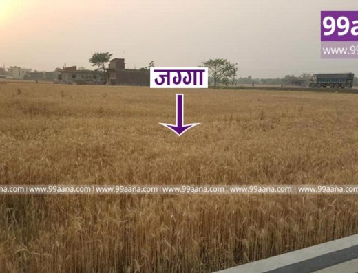 Land for sale at Bhairahawa-Parasi Road, Rupandehi