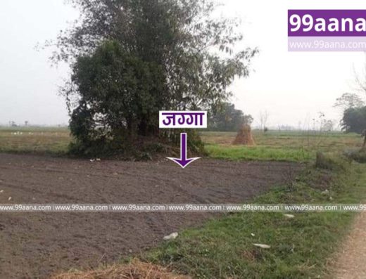 Land for sale at Meghauli, Bharatpur-26, Chitwan
