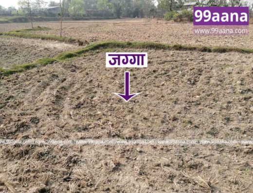 Land for Sale at Bhadrapur, Jhapa