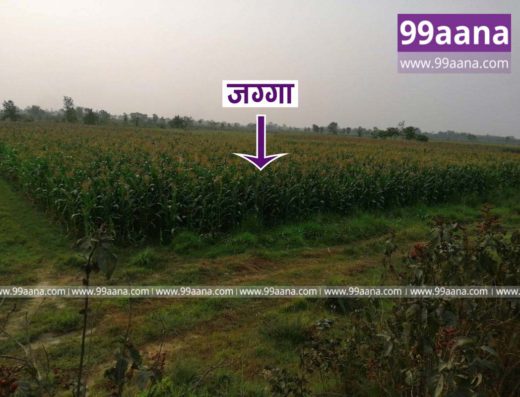 Land for Sale at Itahara, Morang