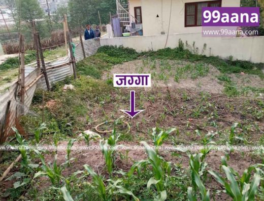 Land for Sale at Kalanki, Kathmandu