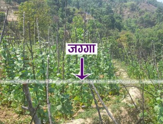 Land for sale at Naubise, Dhading