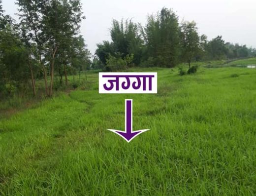 Land for sale at Khairehani, Chitwan