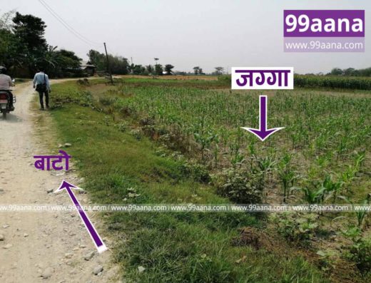 Land for sale at Amardaha, Morang