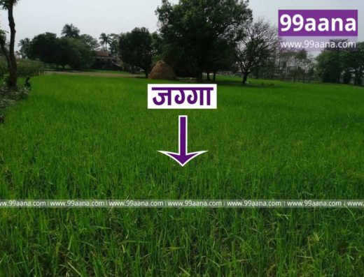 Land for sale at Sombare, Ratuwamai, Morang