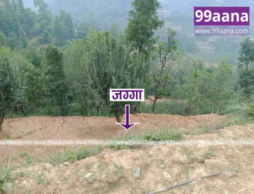 Land for sale at Dhunibesi, Dhading