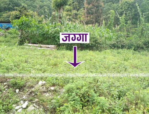 Land for sale at Pokhara, Kaski