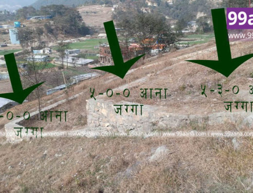 Land for sale at Pasikot, Kathmandu