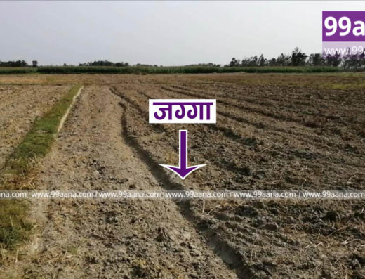 Land for sale at Jhapa