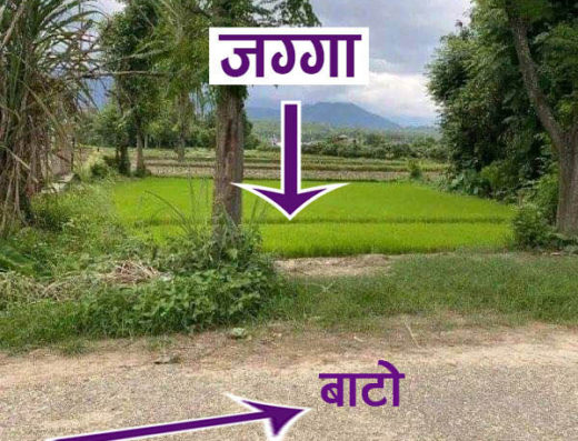 Land for sale at Bharatpur-10, Chitwan