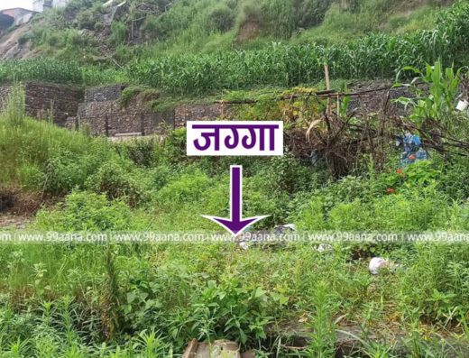 Land for sale at Durga Colony, Kalanki, Kathmandu