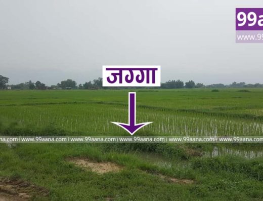 Land for sale at Sanda, Ramgram-01, Nawalparasi