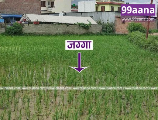 Land for sale at Thankot, Kathmandu