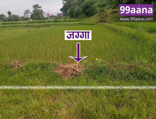 Land for sale at Lekhnath, Pokhara, kaski