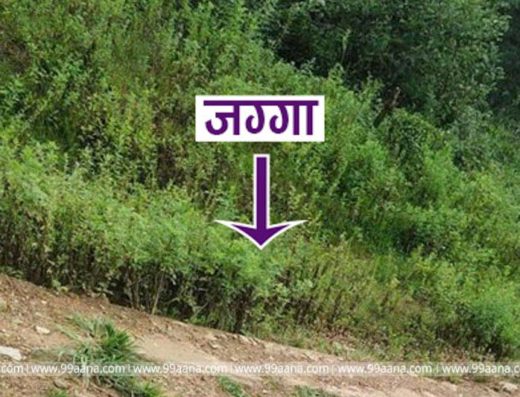 Land for sale at Sipadol, Bhaktapur