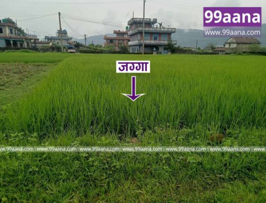 Land for sale at Lekhnath, Pokhara, kaski