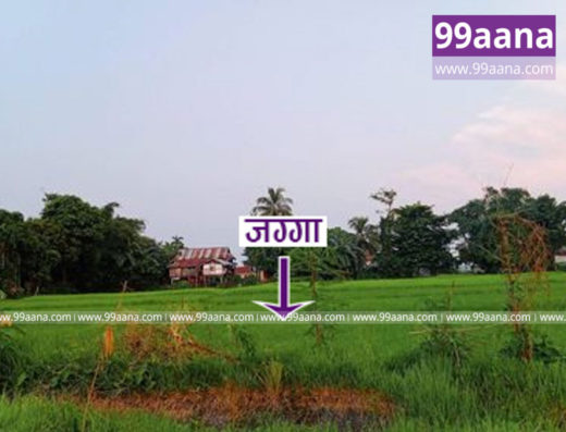 Land for sale at Jhapa