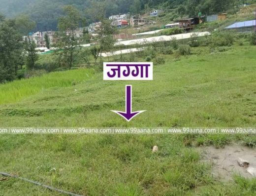 Land for sale at Goldhunga, Kathmandu