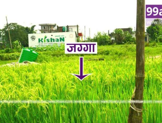 Land for sale at Hetauda, Makwanpur