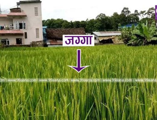 Land for sale at Hetauda, Makwanpur