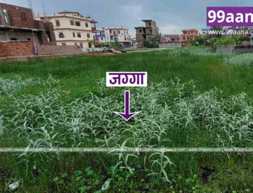 Land for sale at Nepalgunj, Banke