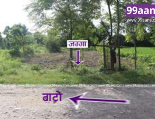 Land for sale at Ratnanagar, Chitwan