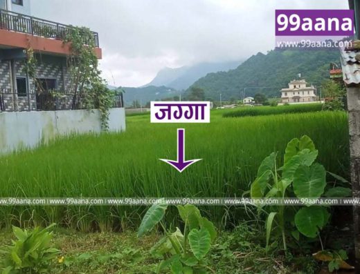 Land for sale at Lekhnath, Pokhara, Kaski