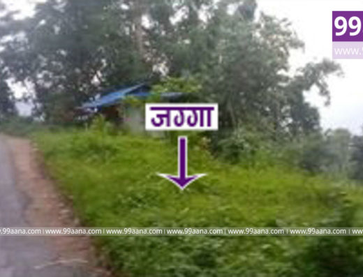 Land for sale at Golakharka Bhanjyang, Ilam