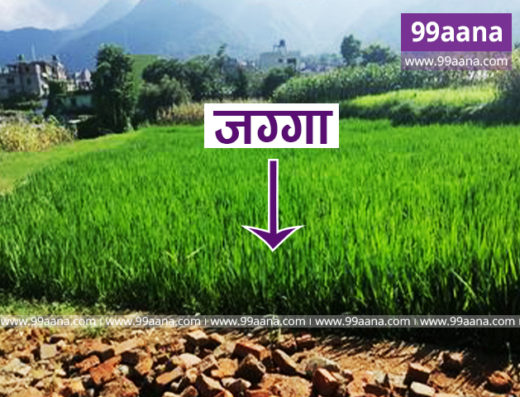 Land for sale at Thankot, Kathmandu