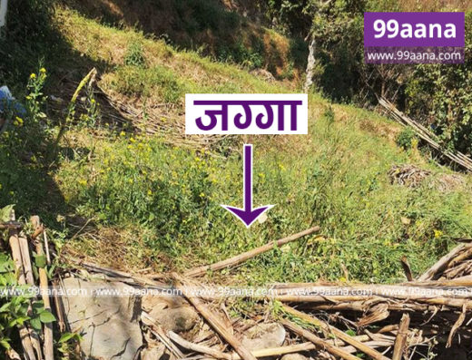 Land for sale at Naikap, Kathmandu