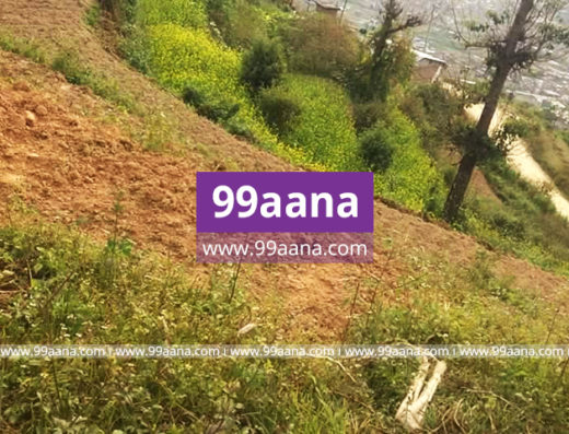 Land for sale at Banepa, Kavrepalanchok