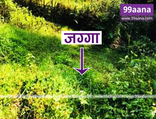 Land for sale at Budhanilkantha, Kathmandu