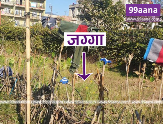 Land for sale at Dhapasi, Kathmandu