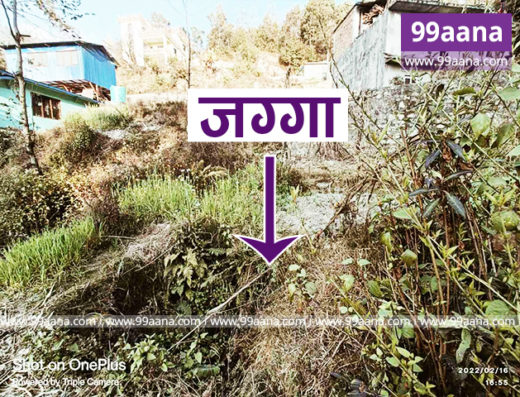 Land for sale at Budhanilkantha, Kathmandu