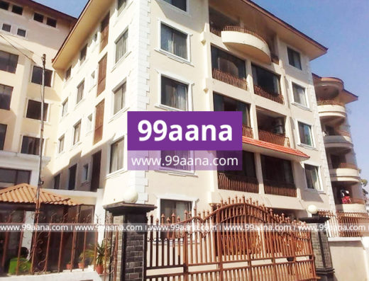 Apartment for Rent at Naxal, Kathmandu