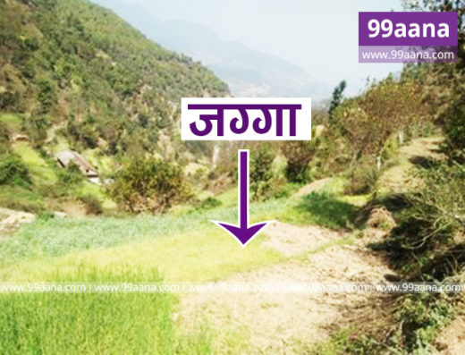Land for sale at Chhampi, Lalitpur